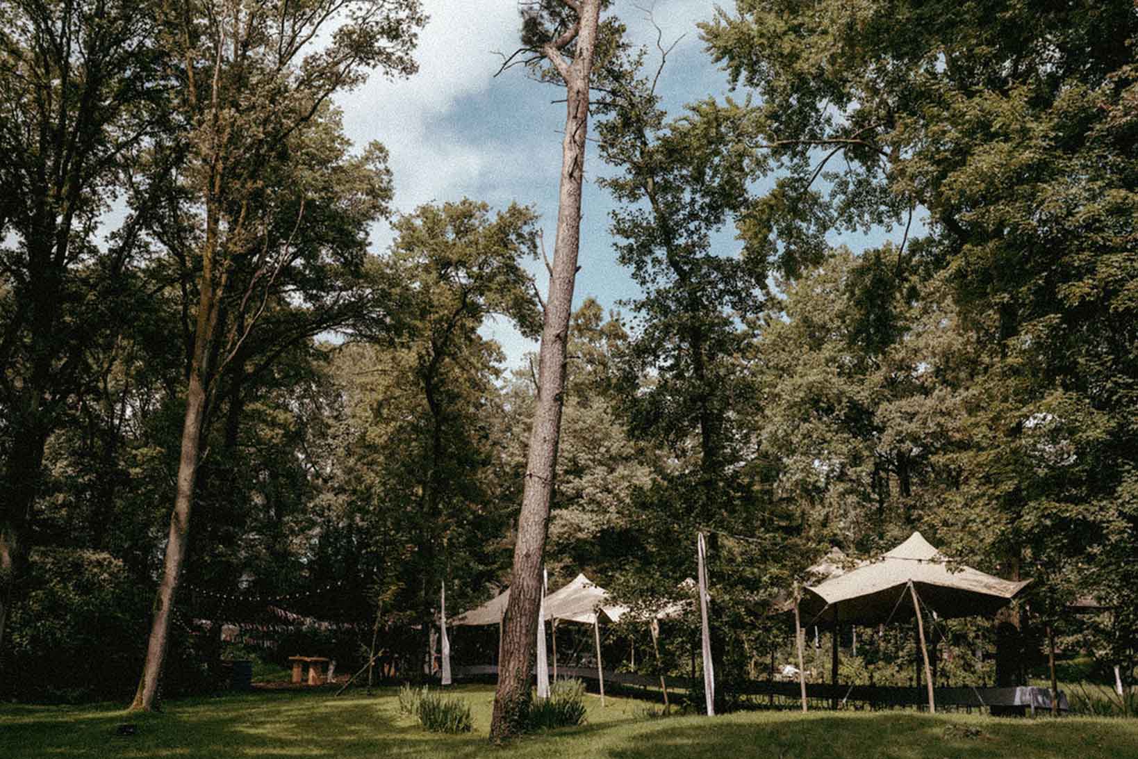 Partner program collaborations with Qtents