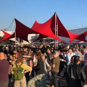 custom shade solutions Qtents