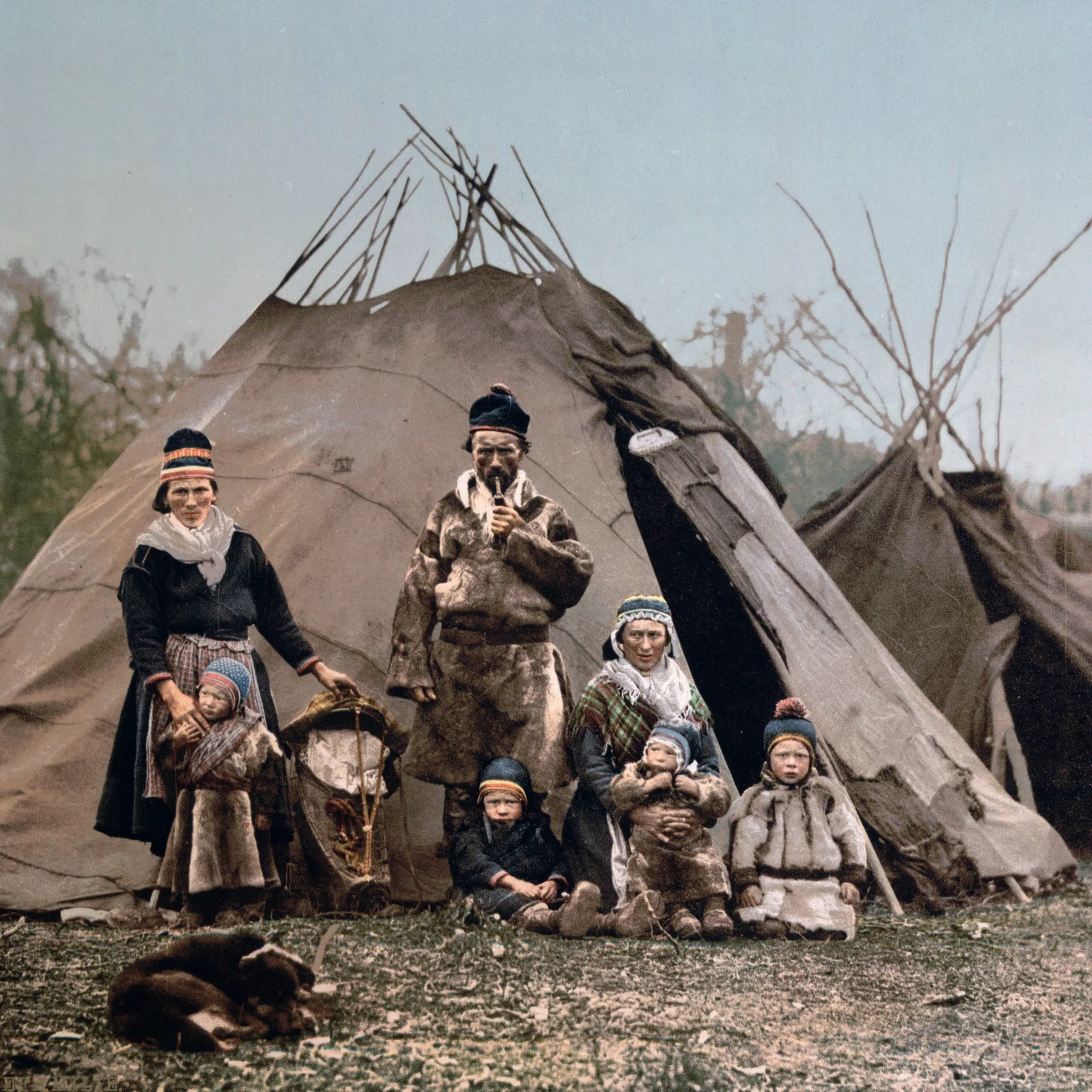 evolution of the tent qtents