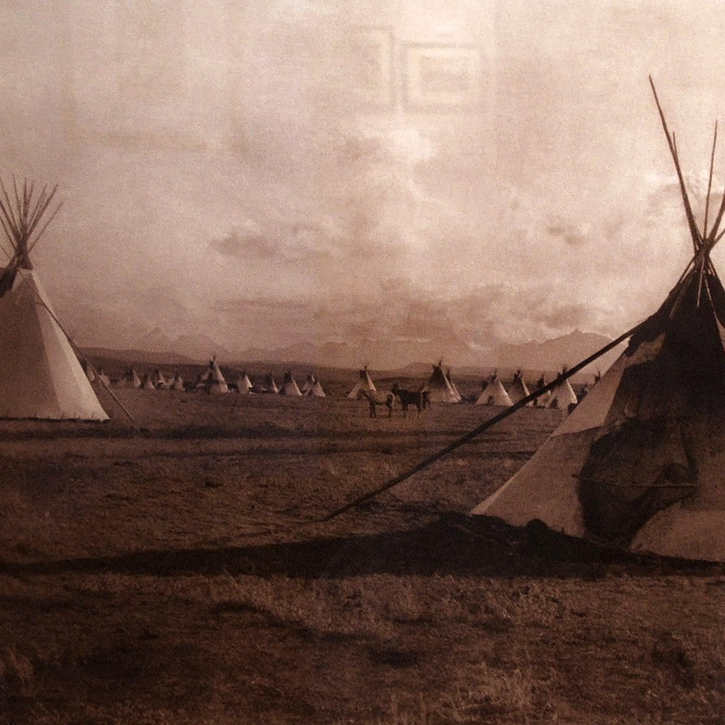 evolution of the tent qtents