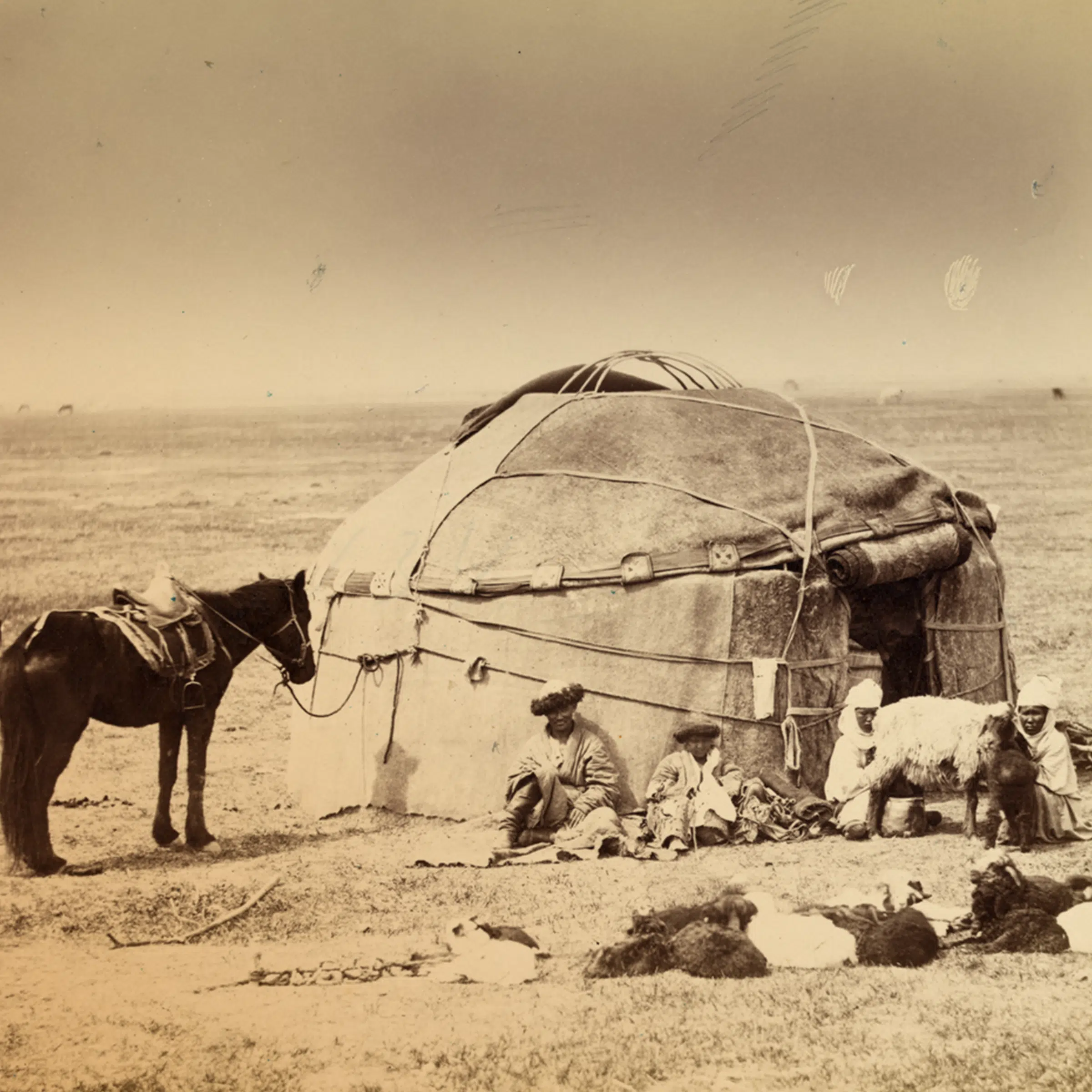 evolution of the tent qtents